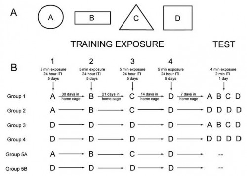 environment exposures during training and test