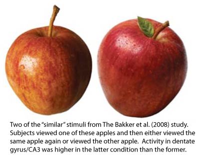 Bakker apples