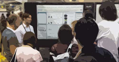 Corticostriatal and glutamatergic mediation of cognitive flexibility and habit