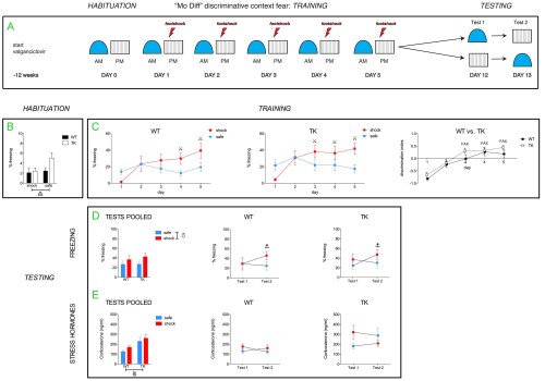 Figure 2 - mo diff