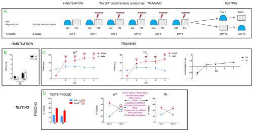 Figure 3 - stress+mo diff